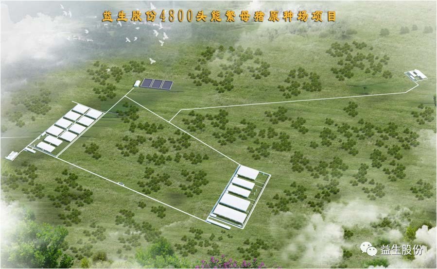 ��ϲѶ��������aggame���������������޹�˾ԭ������������Ŀ����