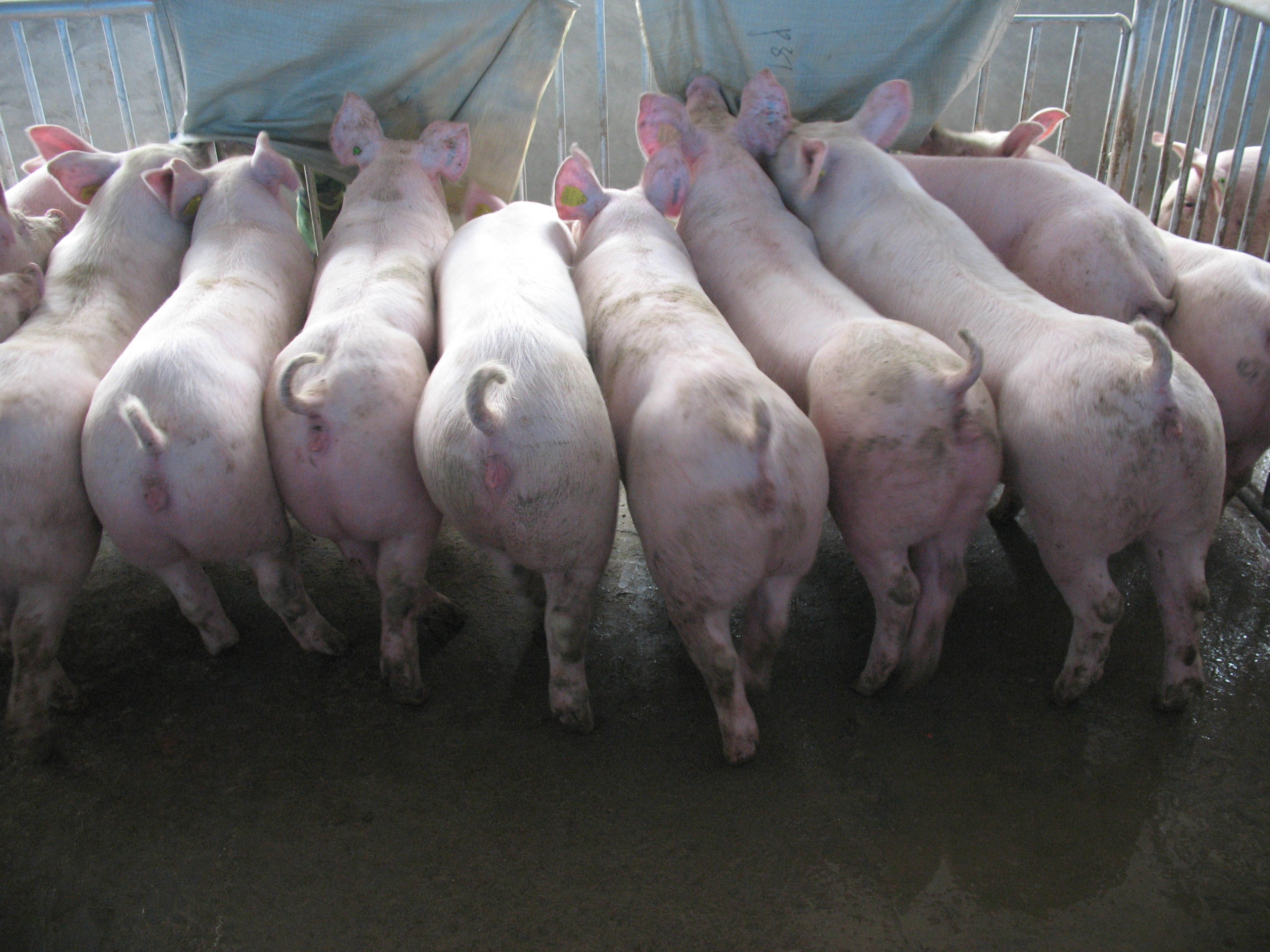 �������·�ϵ��ȷ����