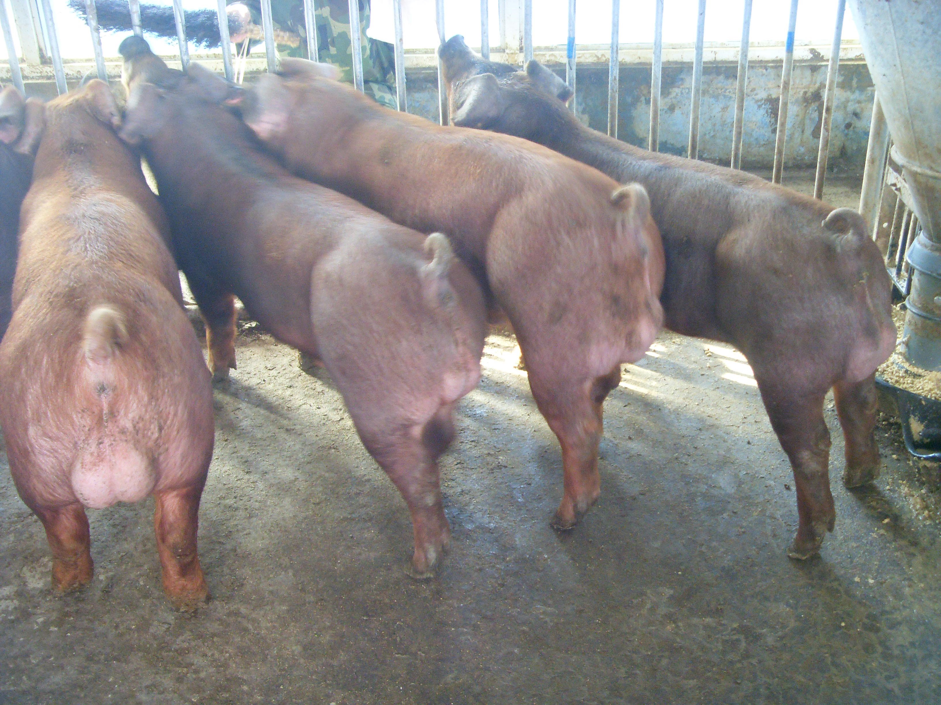 ��������������ϵ�����