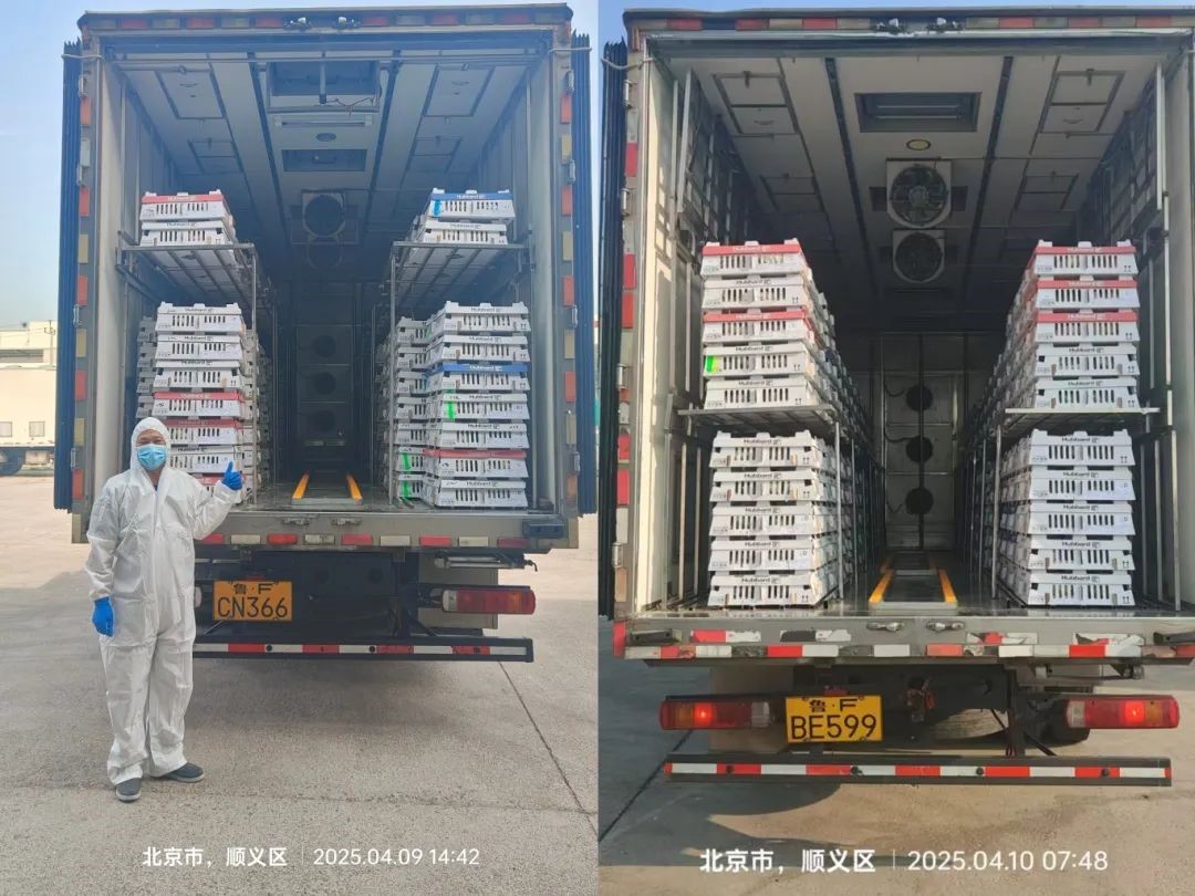 �����֡������ȷ�縺�������ʳ�徲�����Ρ���aggame�����ɷݵ����������˳������