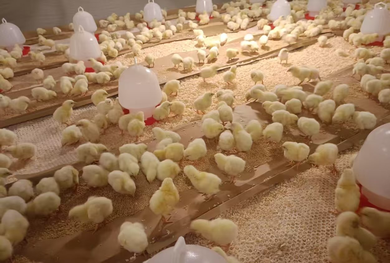 �����š��������������������������aggame�����ɷ�����1.4����������ּ�