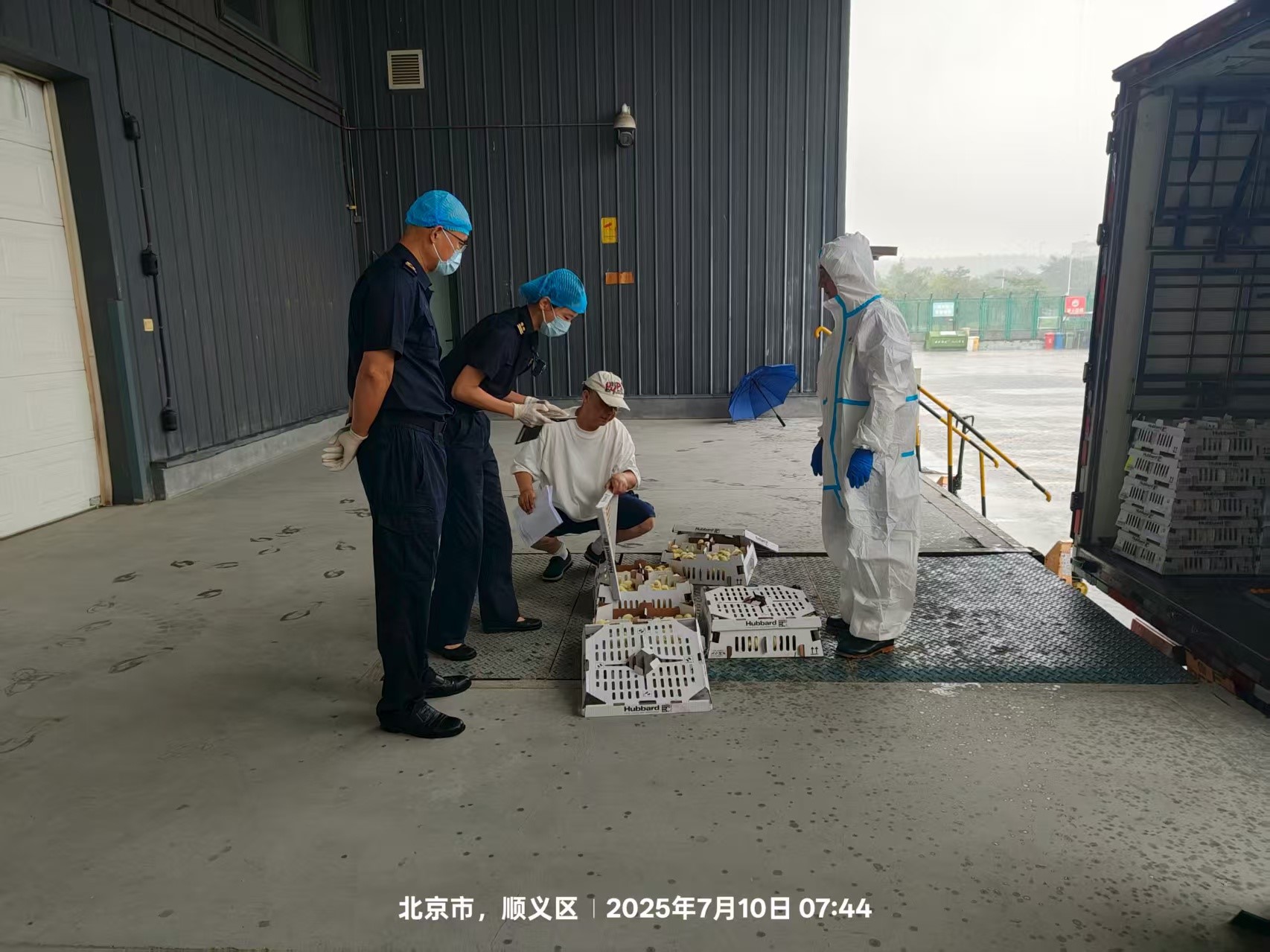 ��ϲѶ��ʢ��������ʢ��������aggame�����ɷݵ�����������������ּ�˳���뾳