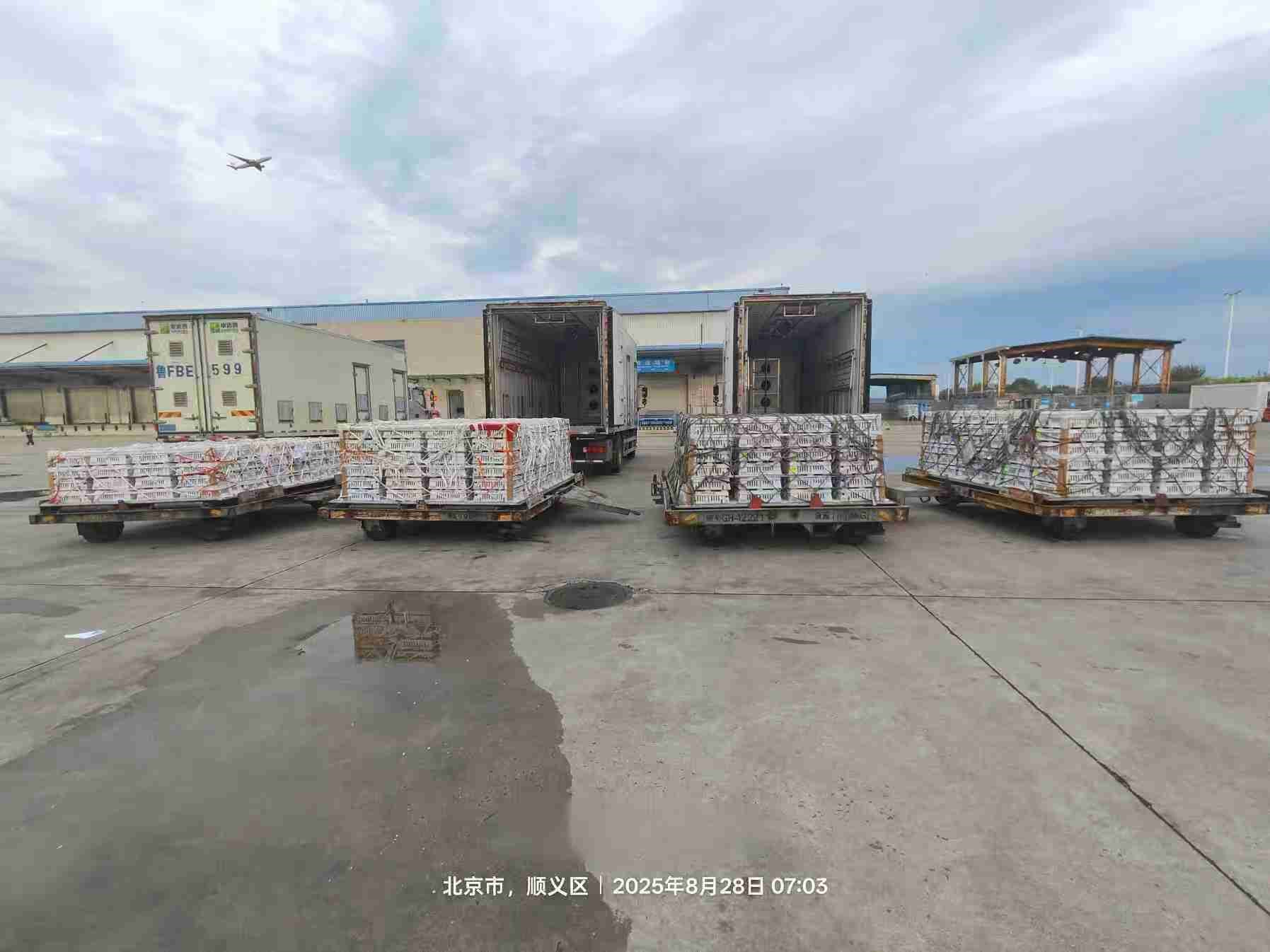 �����֡�aggame�����ɷ��������ͻ��16������������������ռ��59%�Ⱦ���ҵ��ͷ