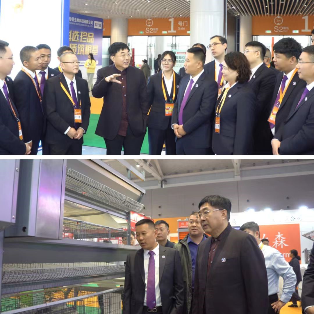 ΢ÐÅͼƬ_20251108102706.jpg ΢ÐÅͼƬ_20251108102706.jpg