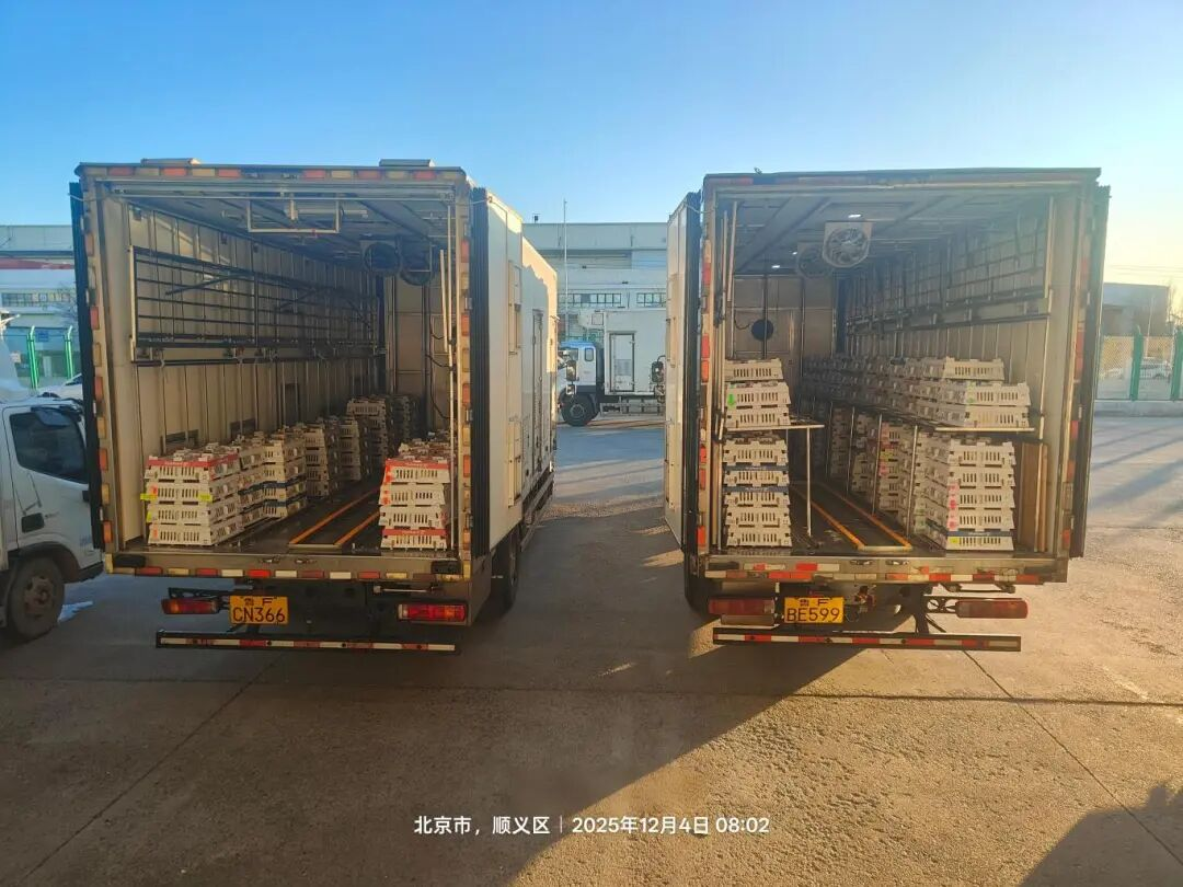 [���֡�aggame�����ɷ��ٶ�����������Դ��������������ͷְλ�ο����ܹ�ҵ�ȹ�