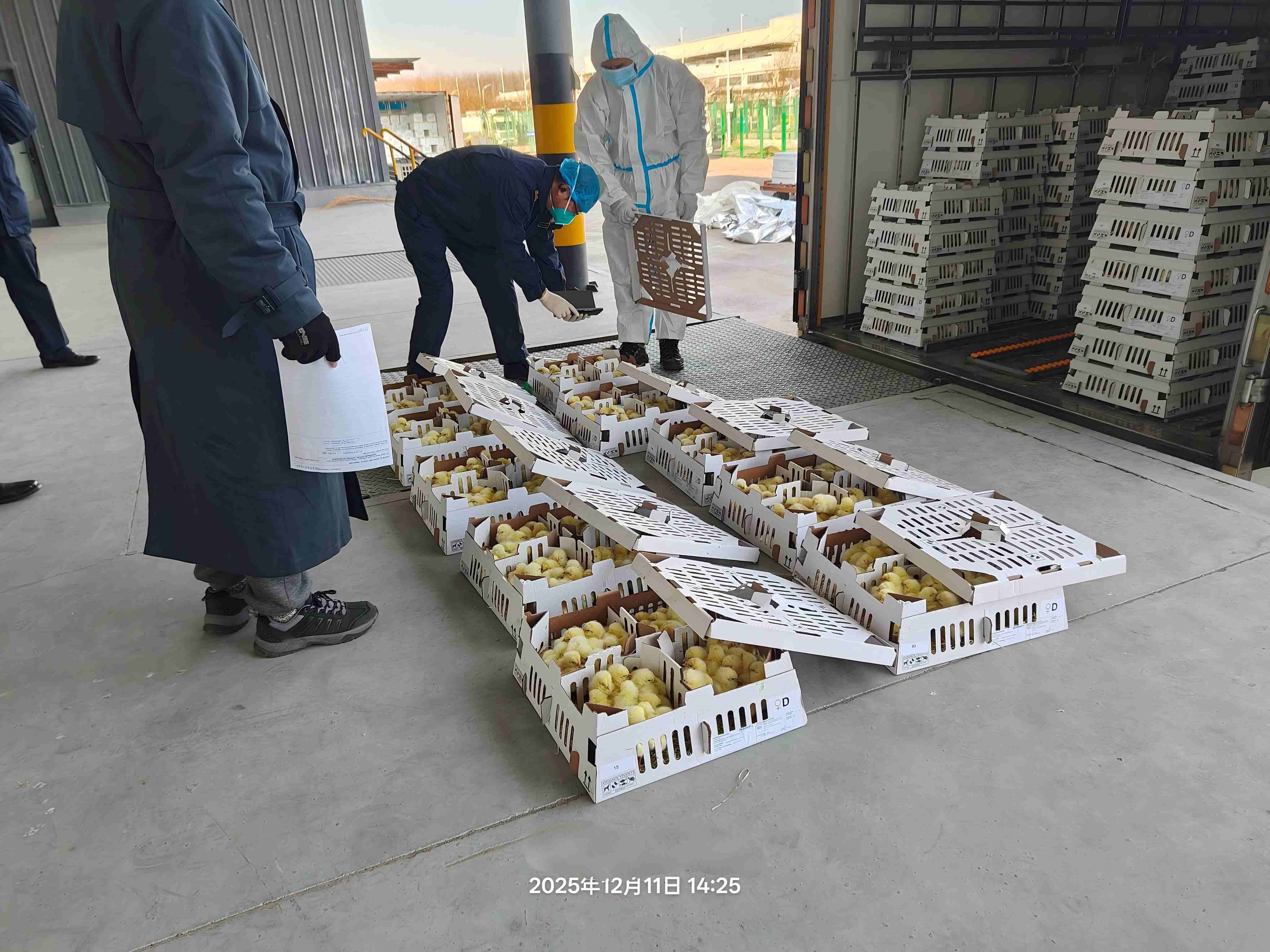 ��ϲѶ��aggame�����ɷ��������Բ���չ��������������ۼ��������ߴ�26.6����