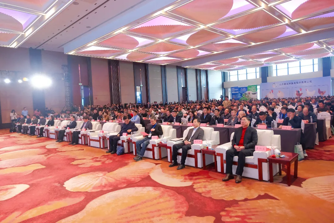 ͼƬ1(1).png ͼƬ1(1).png